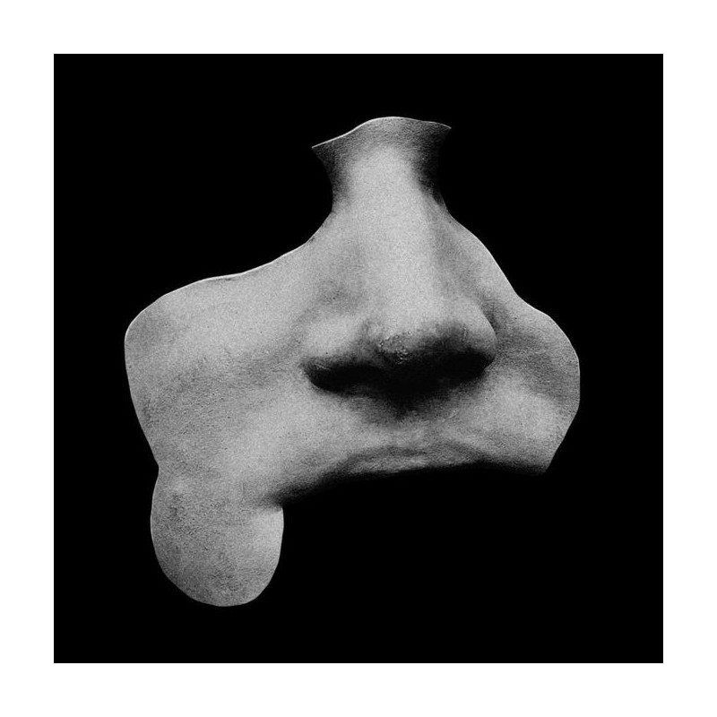 MONTECHARGE - Demons or Someone Else - LP