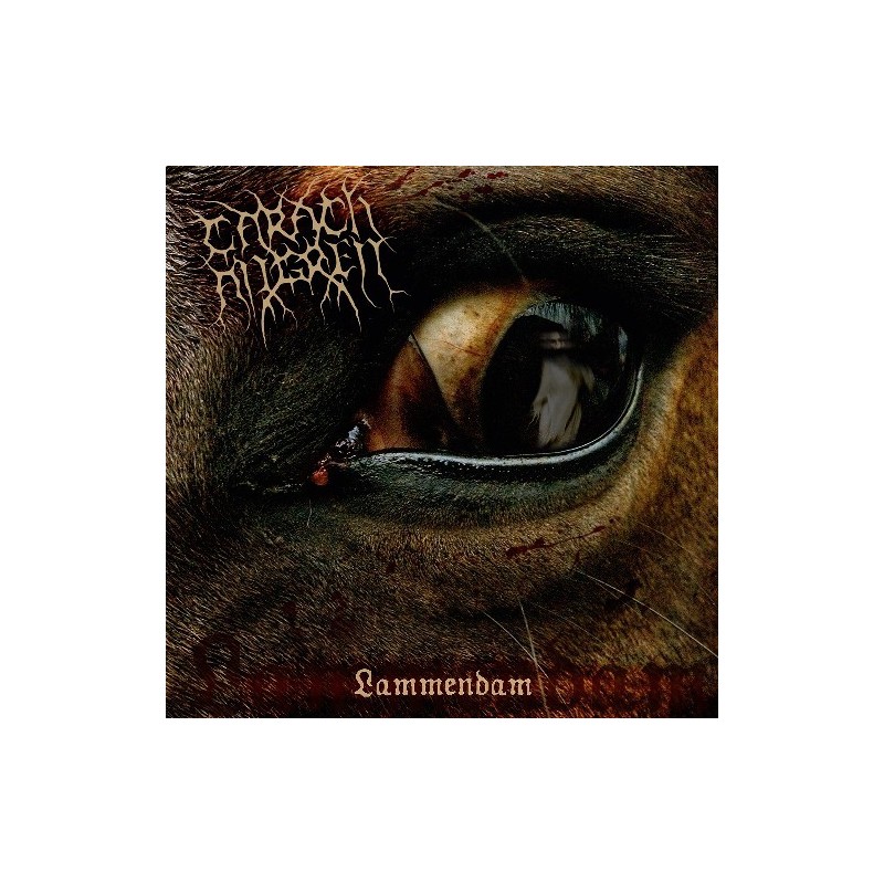 CARACH ANGREN - Lammendam - 2xLP.