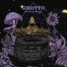 GROTTO - Circle Of Magi - LP color.