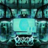 OBSTETRA - The Evolution Paradox - LP