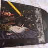 SANTO ROSTRO - Después No Habrá Nada - LP.