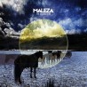 THE KLEEJOSS BAND - Maleza - LP color