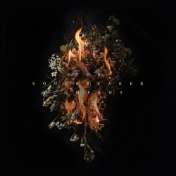 THE SOULBREAKER COMPANY - Sins